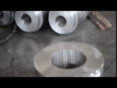 Metalurji için Dövme SUS302 1.4307 Paslanmaz Çelik Halka