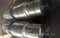 Sıcak Dövme Yuvarlak Bar Kaba İşlenmiş JIS DIN EN ASTM AISI Alaşımlı Çelik ve Paslanmaz Çelik